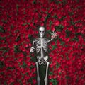 Red roses and death