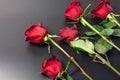 Red roses with dew drops, on a dark background. In the concept of congratulations on a holiday, anniversary, birthday