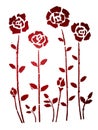 Red roses