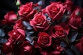 Red roses in dynamic motion, valentine, dating and love proposal image