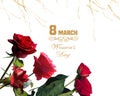 Red roses   festive  happy woman day and Valentine day greeting  background template copy space banner greeting floral nature  we Royalty Free Stock Photo