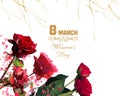 Red roses   festive  happy woman day and Valentine day greeting  background template copy space banner greeting floral nature  we Royalty Free Stock Photo