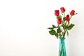 Red roses flower bouquet in green vase on white background Royalty Free Stock Photo