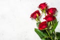 Red roses flower bouquet on white background top view. Royalty Free Stock Photo