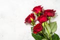 Red roses flower bouquet on white background top view. Royalty Free Stock Photo