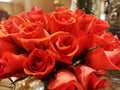 Red roses flowers in a bunch