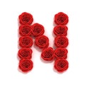 Red roses font letter N