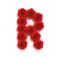 Red roses font letter R