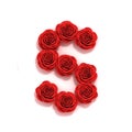 Red roses font letter S