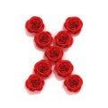 Red roses font letter X