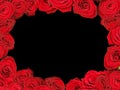 Red roses frame