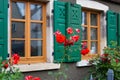 red roses on framework facade with green window shutter of wood Royalty Free Stock Photo