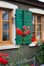 red roses on framework facade with green window shutter of wood Royalty Free Stock Photo