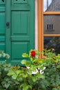 red roses on framework facade with green window shutter of wood Royalty Free Stock Photo