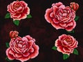 Old Fashioned Roses in Rich Reds