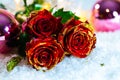 Red roses with glitte in snow and christmas balls