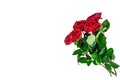 Bouquet of red roses in the corner on a white background