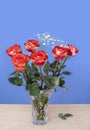 Red roses with green leaves in a glass vase with water stand on Royalty Free Stock Photo