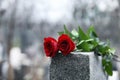 Red roses on grey granite tombstone. Funeral ceremony Royalty Free Stock Photo