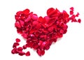 Red roses heart Royalty Free Stock Photo