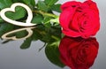 Red roses with heart with reflection in mirror. Valentine`s day theme. Romantic moments.