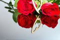 Red roses with heart with reflection in mirror. Valentine& x27;s day theme. Romantic moments.