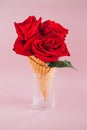 Red roses in Ice Cream on pink background Royalty Free Stock Photo