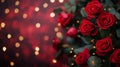 Red Roses Illuminated By Festive Golden Lights Royalty Free Stock Photo