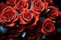 Red roses intertwined in a colorful symphony of love, valentine, dating and love proposal image Royalty Free Stock Photo