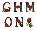 Red Roses letters. Hand draw. Vector alphabet