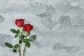 Red roses lie on a textured light background. Space for your text