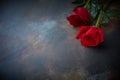 Red roses lie on a textured spotted marble background. A sign of condolence, sympathy for the loss. Space for your text