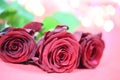 Red roses with lights, valentins day