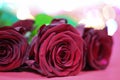 Red roses with lights, valentins day