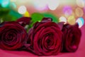 Red roses with lights, valentins day