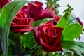 Beautifull two red roses flowers bouquet with leaves