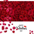 Red roses and petal on white background with Valentine greetings text heart symbol template banner Royalty Free Stock Photo