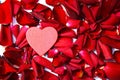 Red roses petals and heart Royalty Free Stock Photo