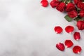 Red roses and petals on white background. Valentines day background Royalty Free Stock Photo