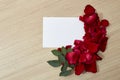 red roses petals and white blank paper Royalty Free Stock Photo