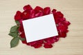 red roses petals and white blank paper Royalty Free Stock Photo