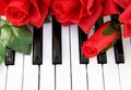 Red Roses on a piano Royalty Free Stock Photo