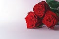 red roses on pink background with copy space. Flat lay. Mothers day, valentines day, womans day concept.