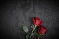 Red roses are placed on a black textured background. A sign of condolence, sympathy loss. Space for your text. Royalty Free Stock Photo