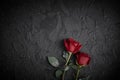 Red roses are placed on a black textured background. A sign of condolence, sympathy loss. Space for your text Royalty Free Stock Photo