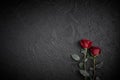 Red roses are placed on a black textured background. A sign of condolence, sympathy loss. Space for your text Royalty Free Stock Photo