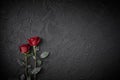 Red roses are placed on a black textured background. A sign of condolence, sympathy loss. Space for your text