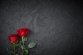 Red roses are placed on a black textured background. A sign of condolence, sympathy loss. Space for your text Royalty Free Stock Photo