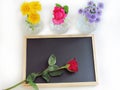 Red roses placed on the blackboard and yellow chrysanthemum, pink roses and purple margaret flower in bottles vases Royalty Free Stock Photo