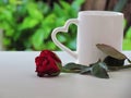 Red roses placed in front of white glass with heart-shaped handle on white table Royalty Free Stock Photo